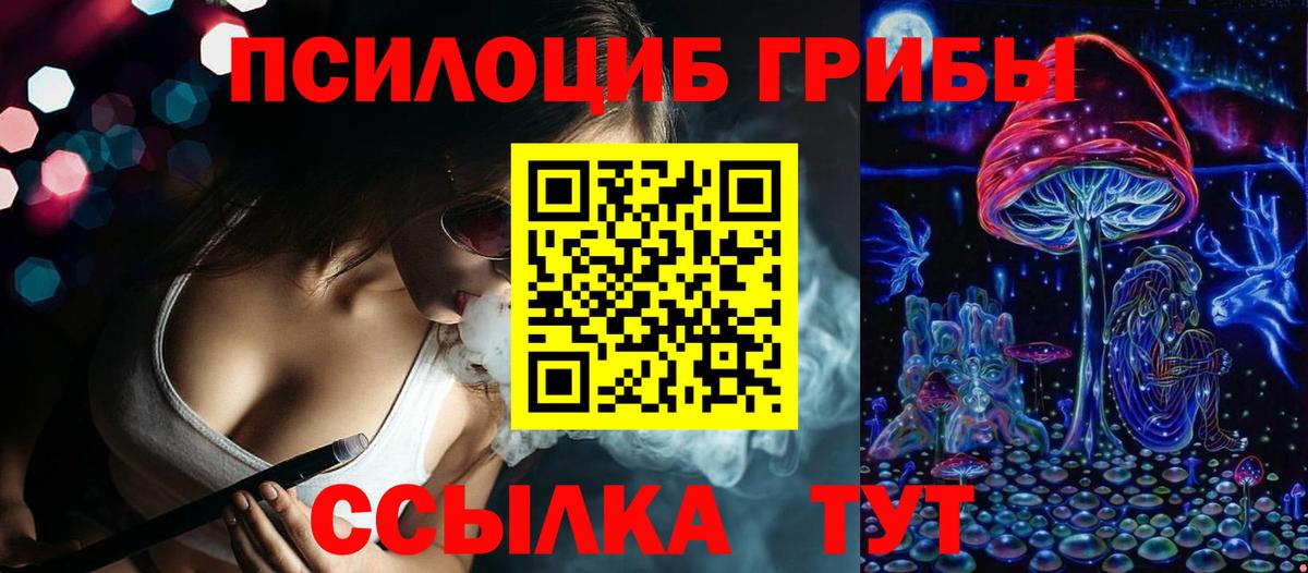 Псилоцибиновые грибы Psilocybine cubensis Новый Уренгой
