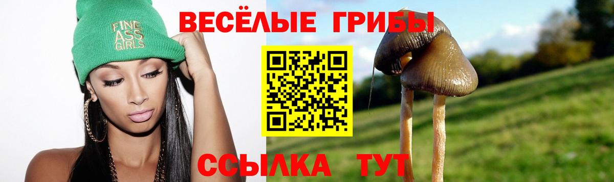 Псилоцибиновые грибы GOLDEN TEACHER  Вход с VPN  Новый Уренгой 